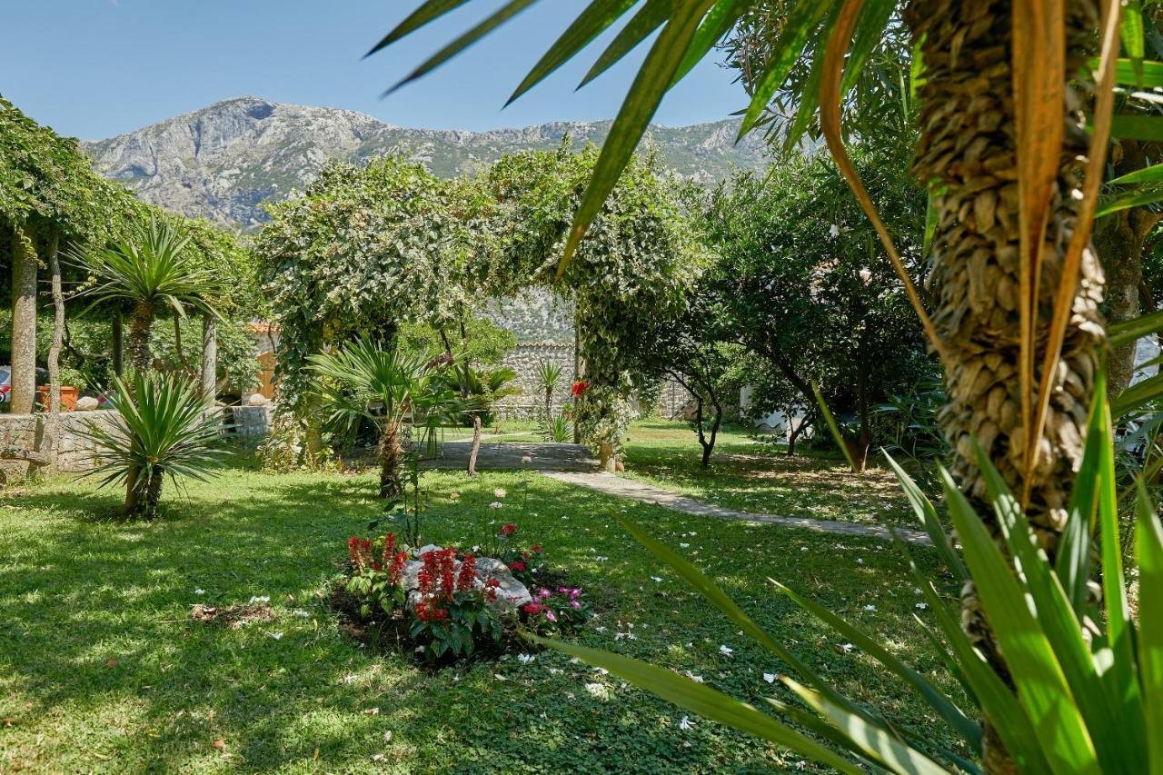 Mediterranean Holiday House & Apartments Kotor Kültér fotó